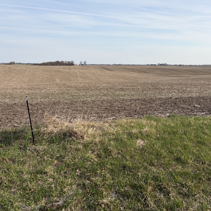 photo of property 12614721