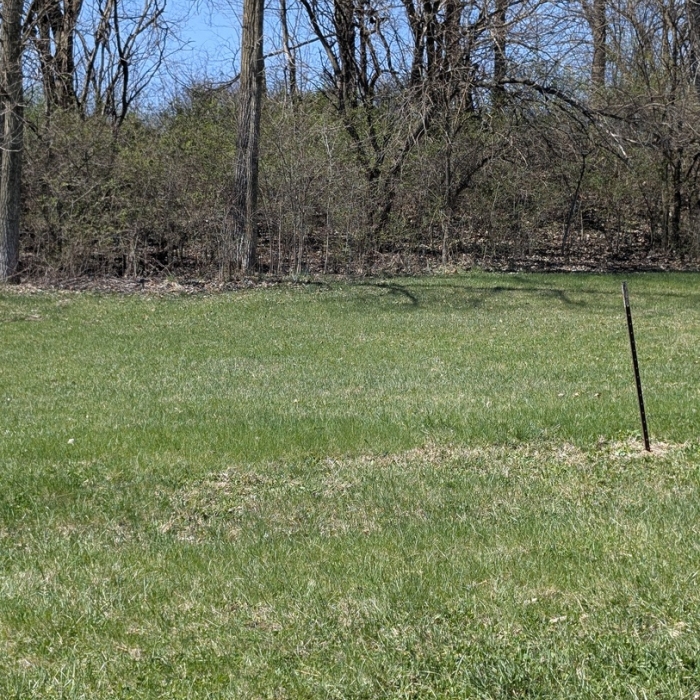 photo of property 12614755