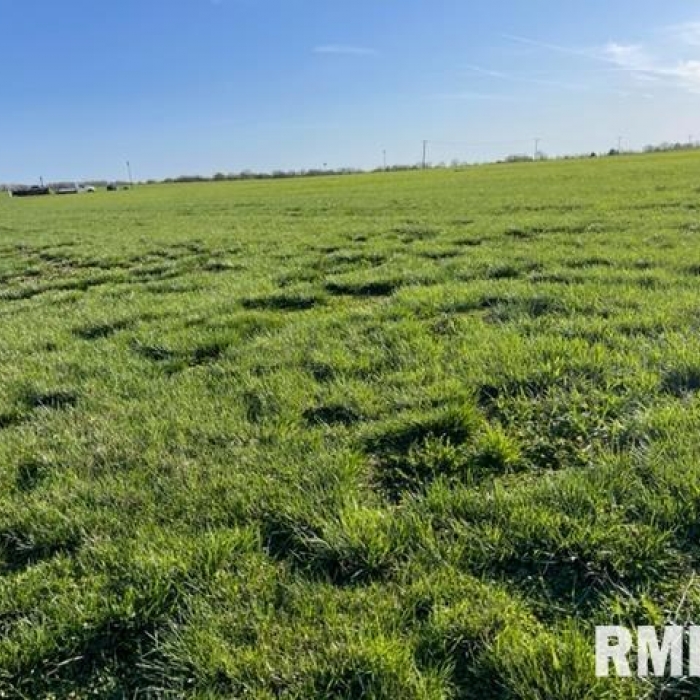 photo of property 12629370