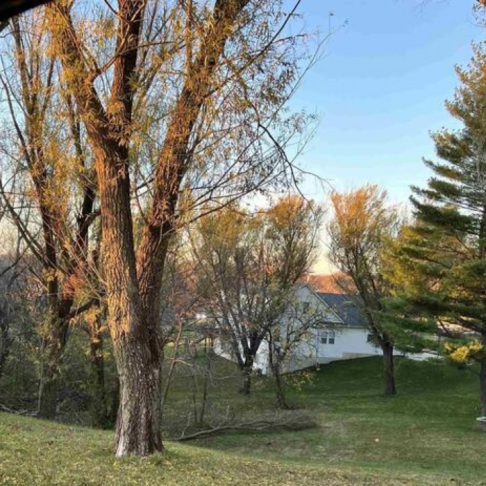 photo of property 12632092
