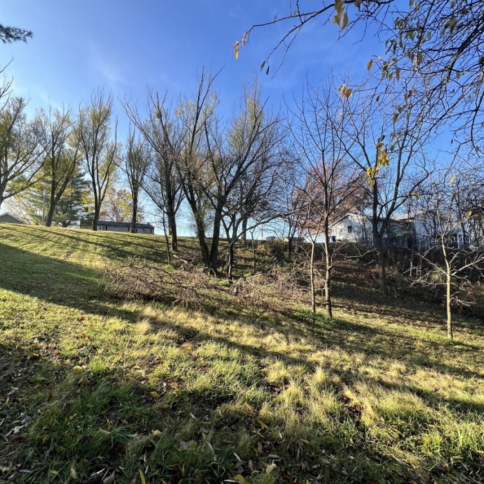 photo of property 12632092