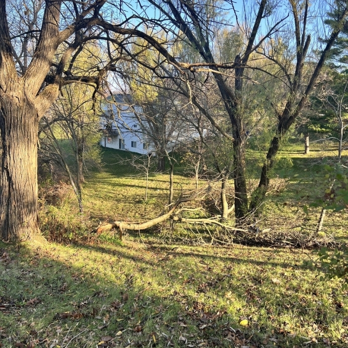 photo of property 12632092