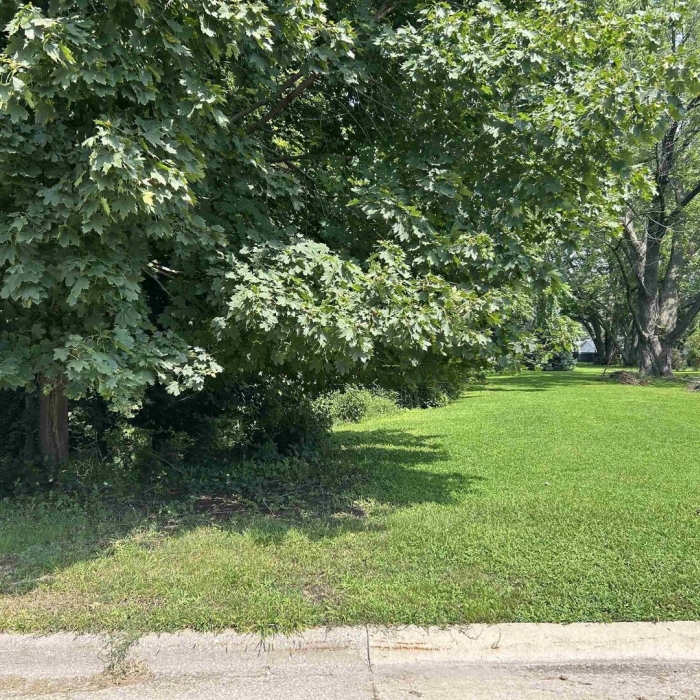 photo of property 12633168