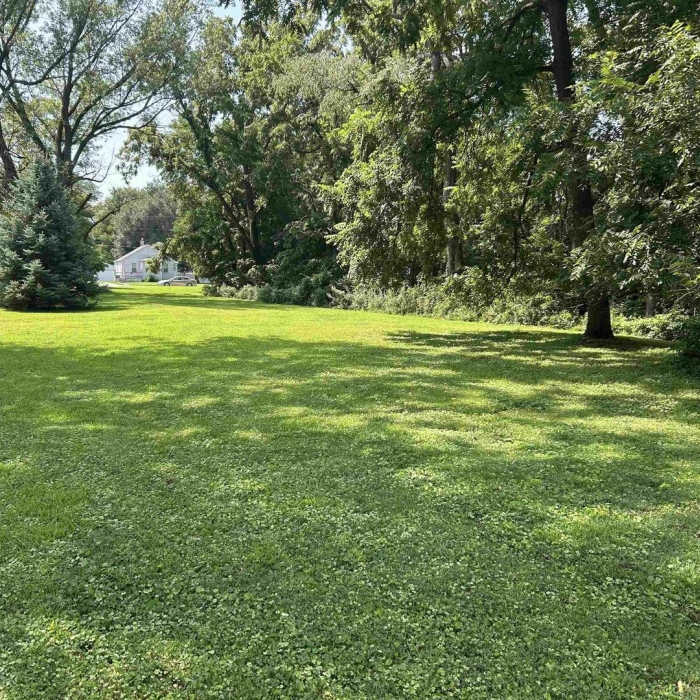 photo of property 12633168