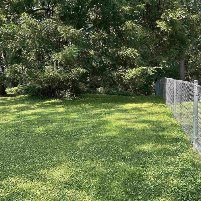 photo of property 12633168