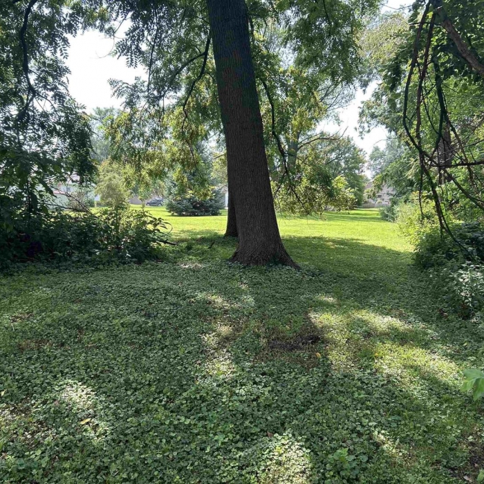 photo of property 12633168