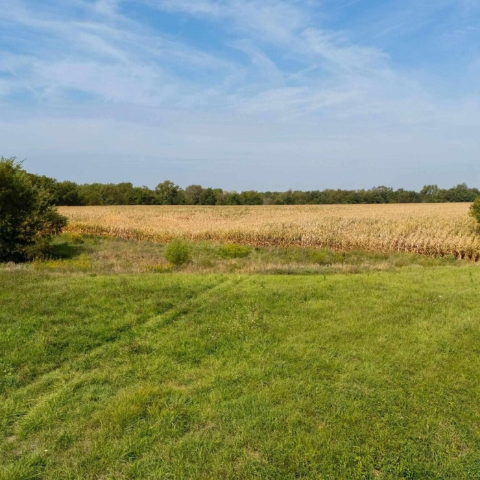 photo of property 12641672