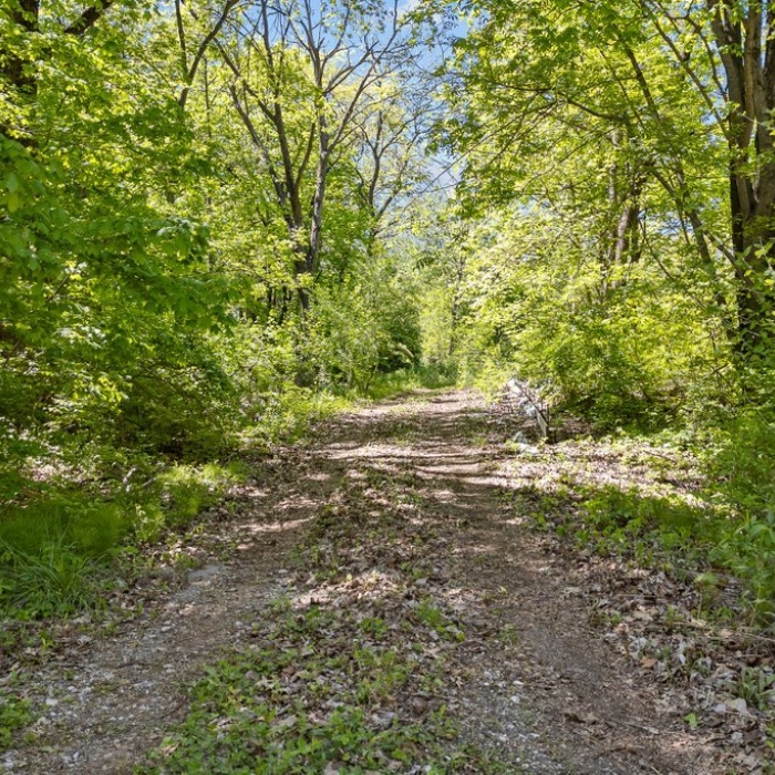 photo of property 12644568