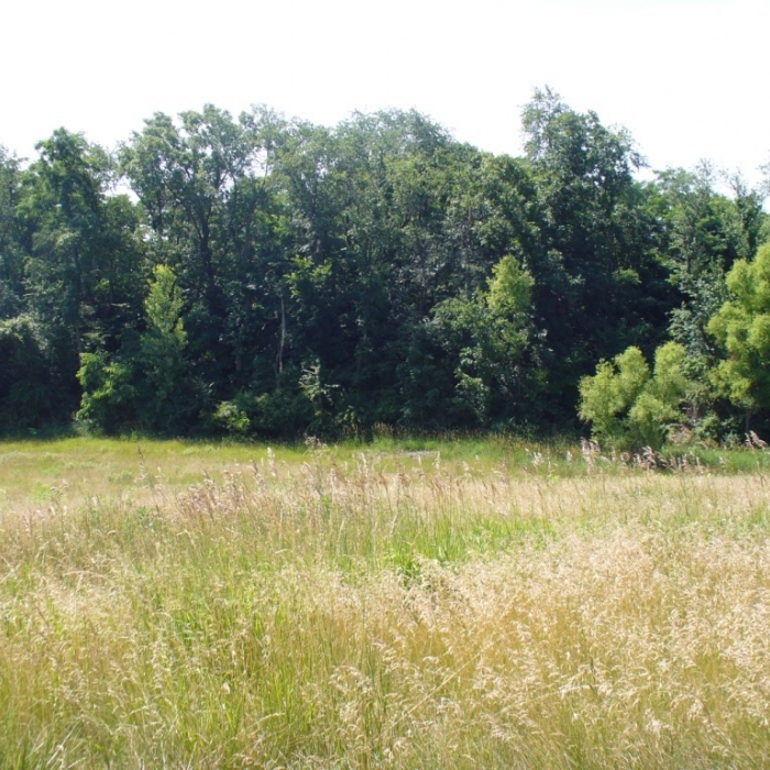 photo of property 12646124