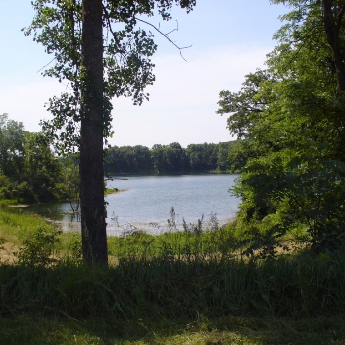 photo of property 12646124