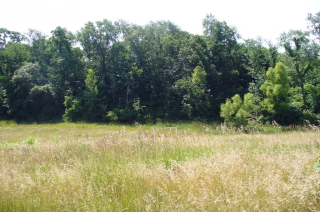 Lot 3 Par Lane, Sherrard, IL