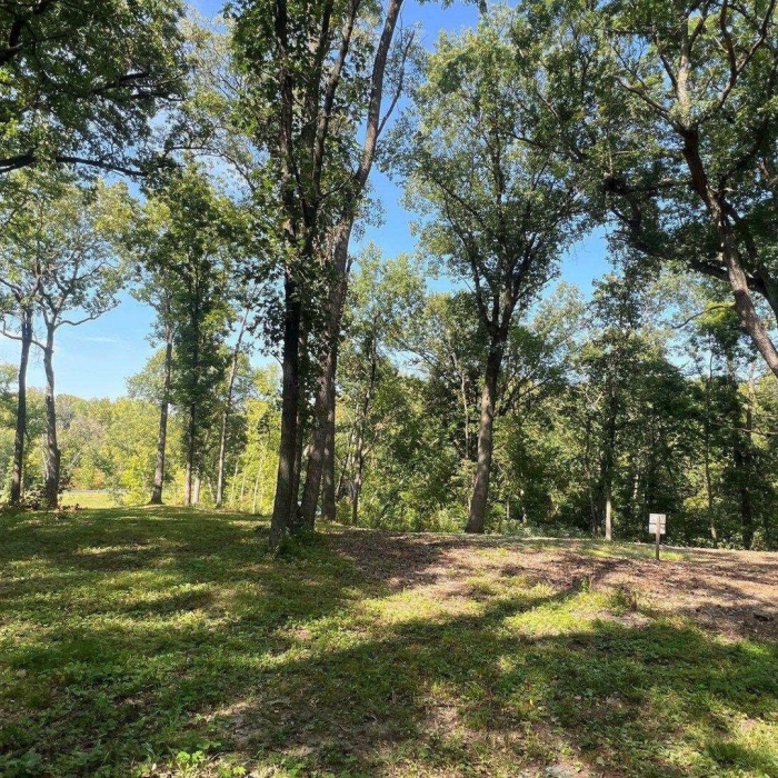photo of property 12649854
