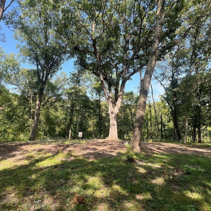 photo of property 12649854