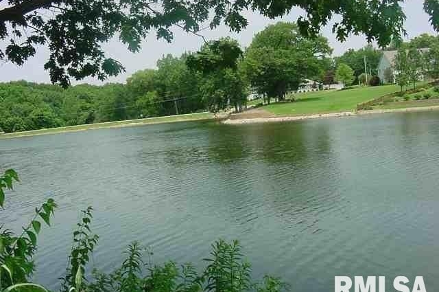 63 RUSTIC LAKE ESTATES, Colona, IL