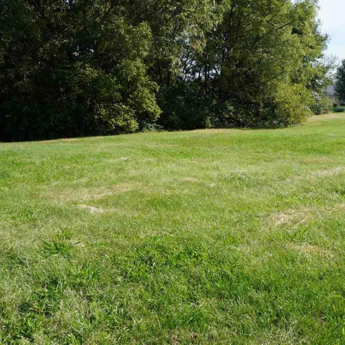 photo of property QC4188218