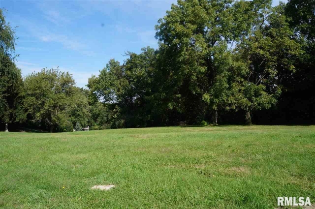 55 RUSTIC LAKE ESTATES, Colona, IL