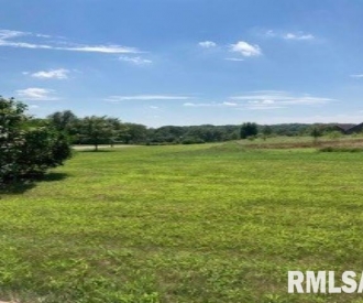 3905 229TH Street Circle, Port Byron, IL