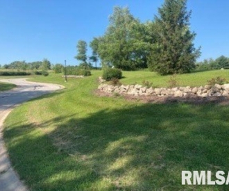3829 229TH Street Circle, Port Byron, IL