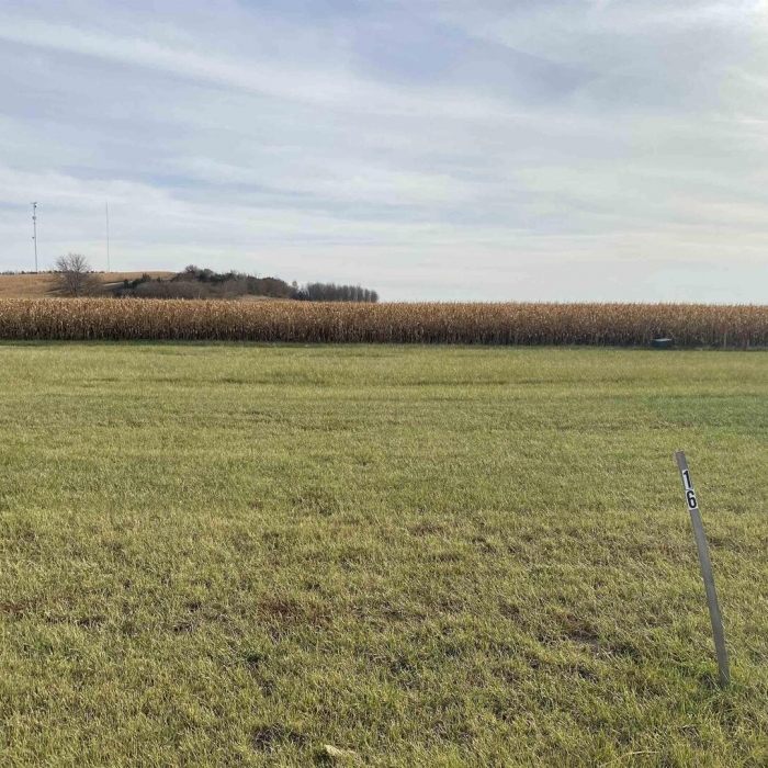 photo of property QC4238311