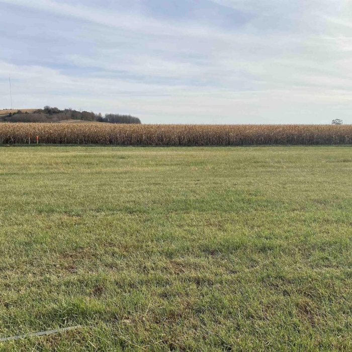 photo of property QC4238312
