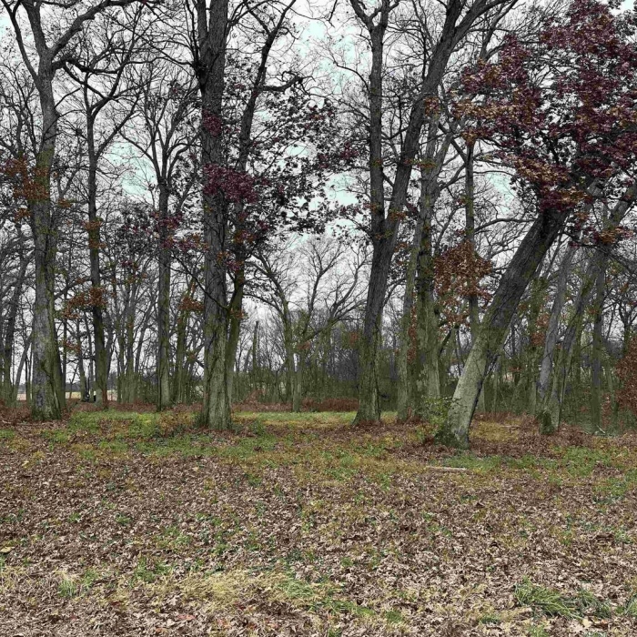 photo of property QC4258754