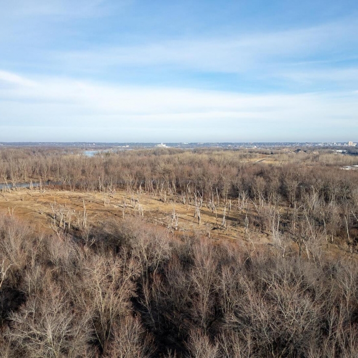 photo of property QC4259039