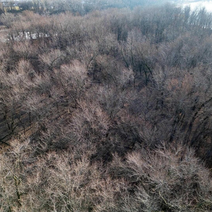 photo of property QC4259039