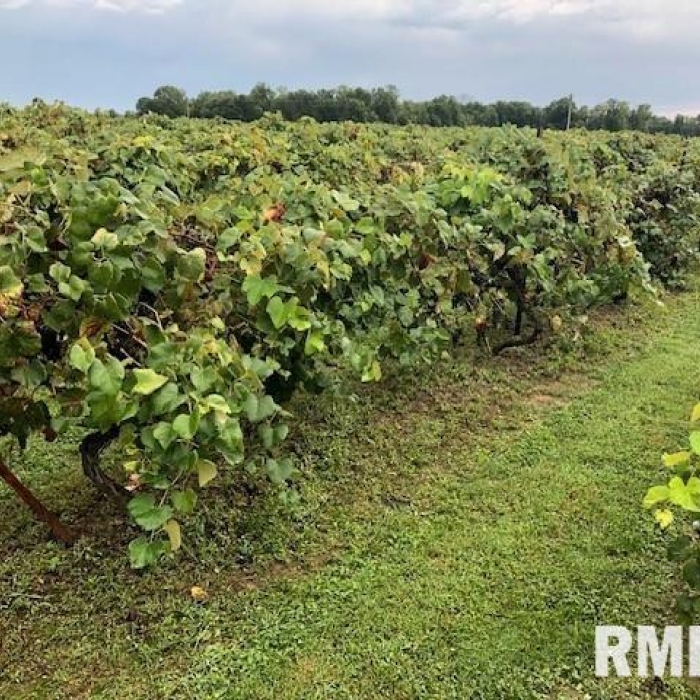 photo of property QC4260332