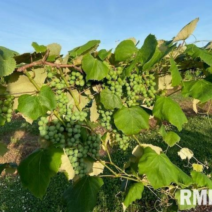 photo of property QC4260332