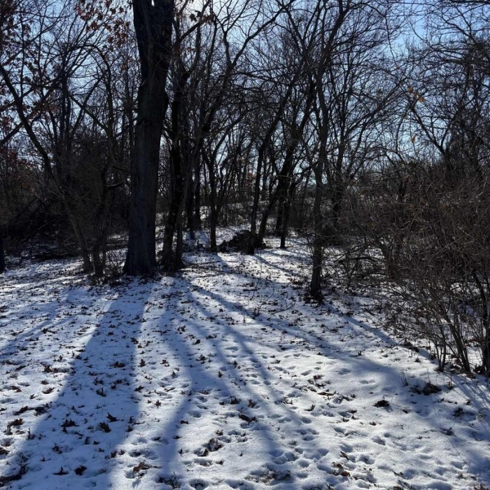 photo of property QC4260472