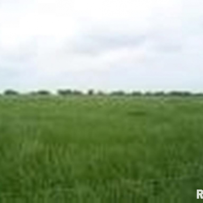 photo of property QC4261181