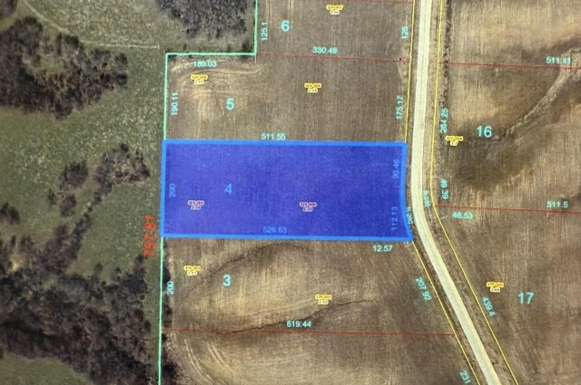2440 Olof Krans Avenue, Galva, IL