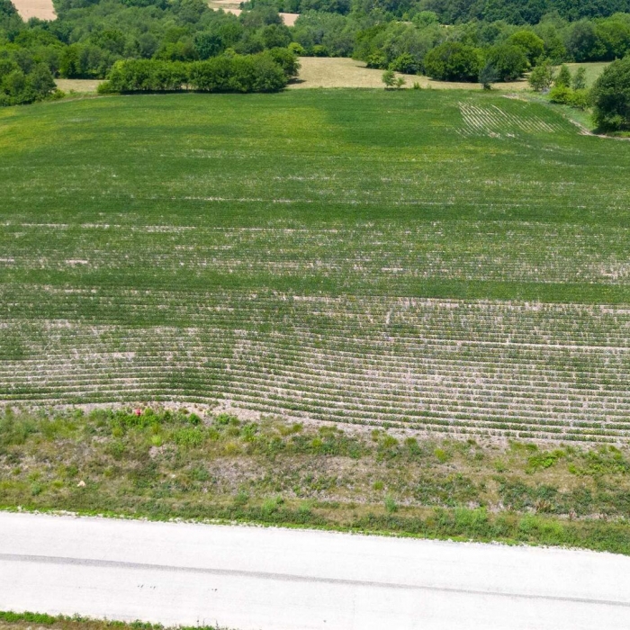photo of property QC4262416