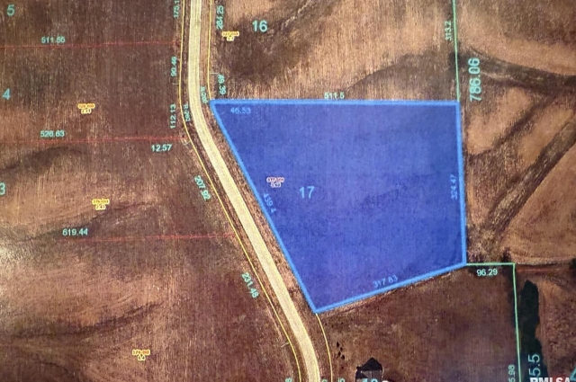 2321 Olof Krans Avenue, Galva, IL