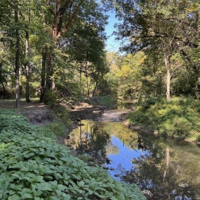 photo of property QC4263029