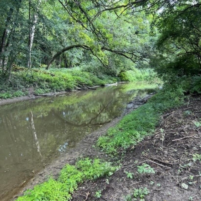 photo of property QC4263029