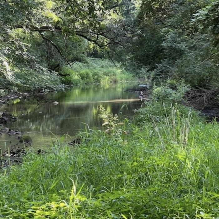 photo of property QC4263029