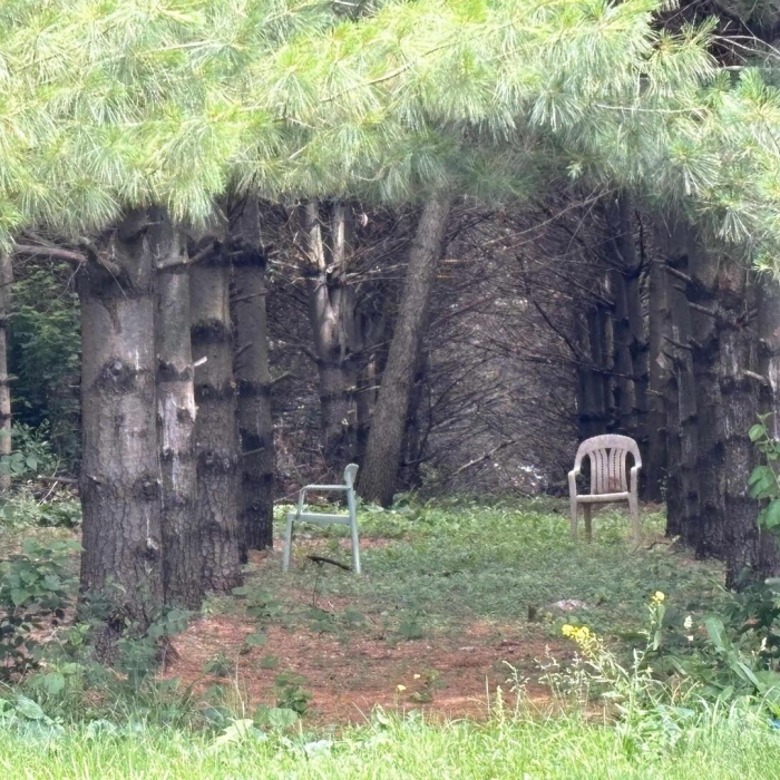 photo of property QC4264204