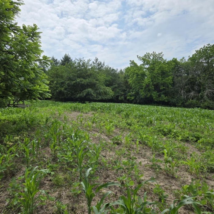 photo of property QC4264295