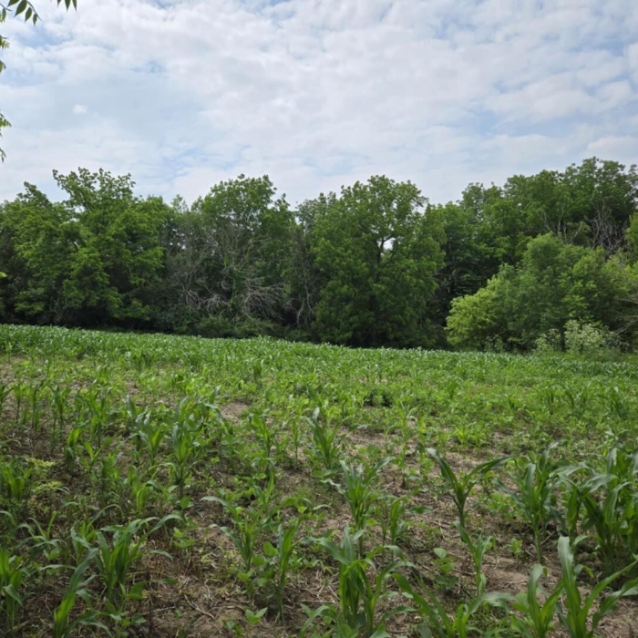 photo of property QC4264295