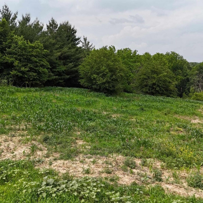 photo of property QC4264295