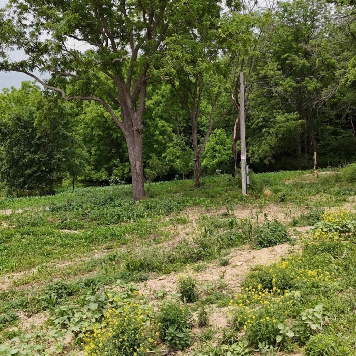 photo of property QC4264295