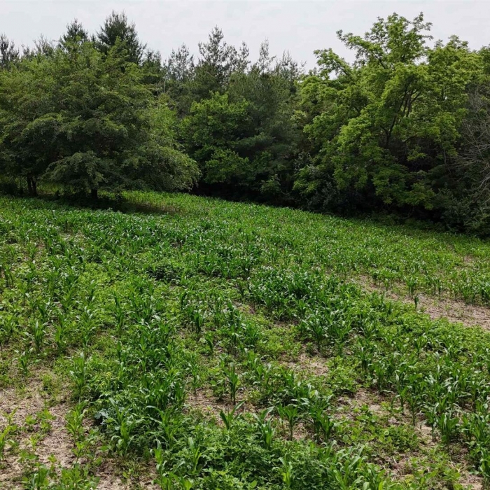 photo of property QC4264295