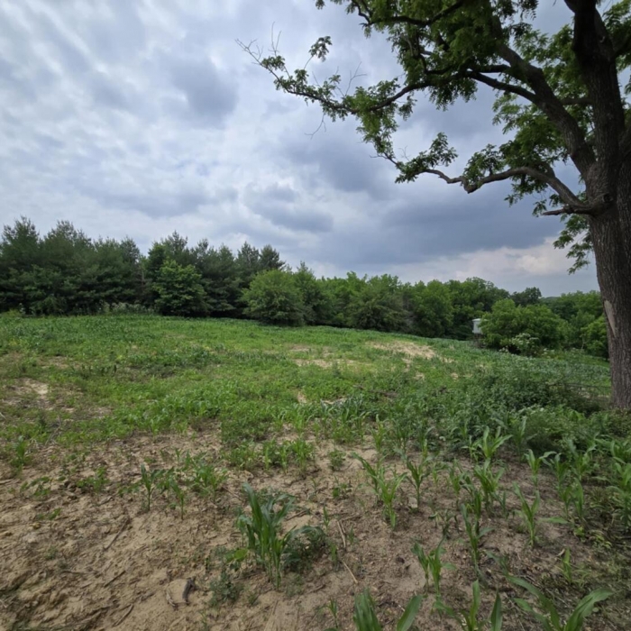 photo of property QC4264295