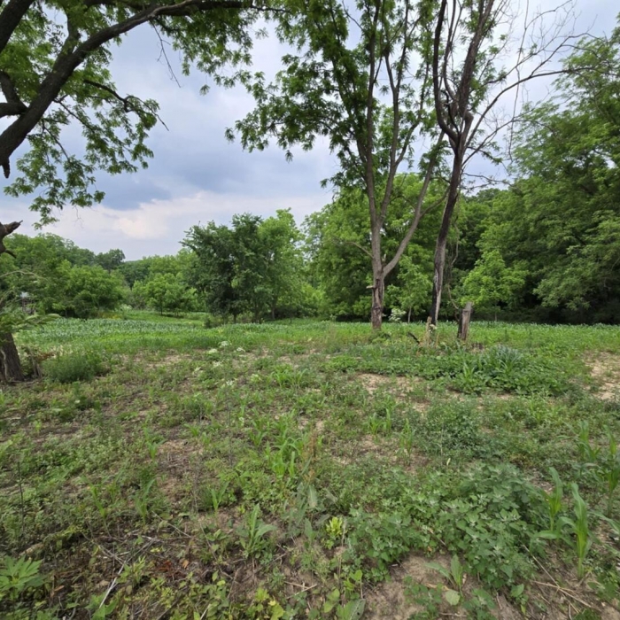 photo of property QC4264295