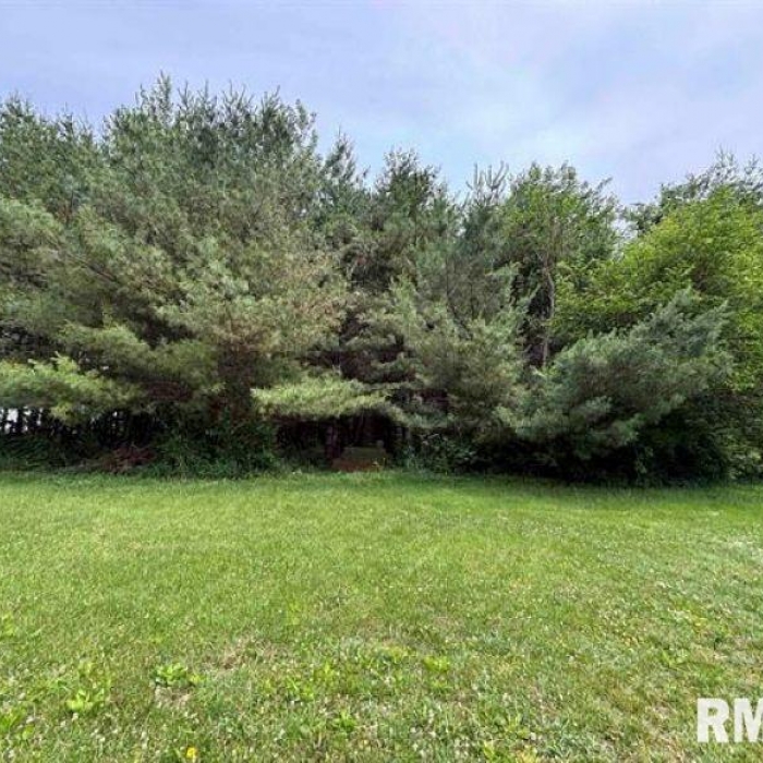 photo of property QC4264357