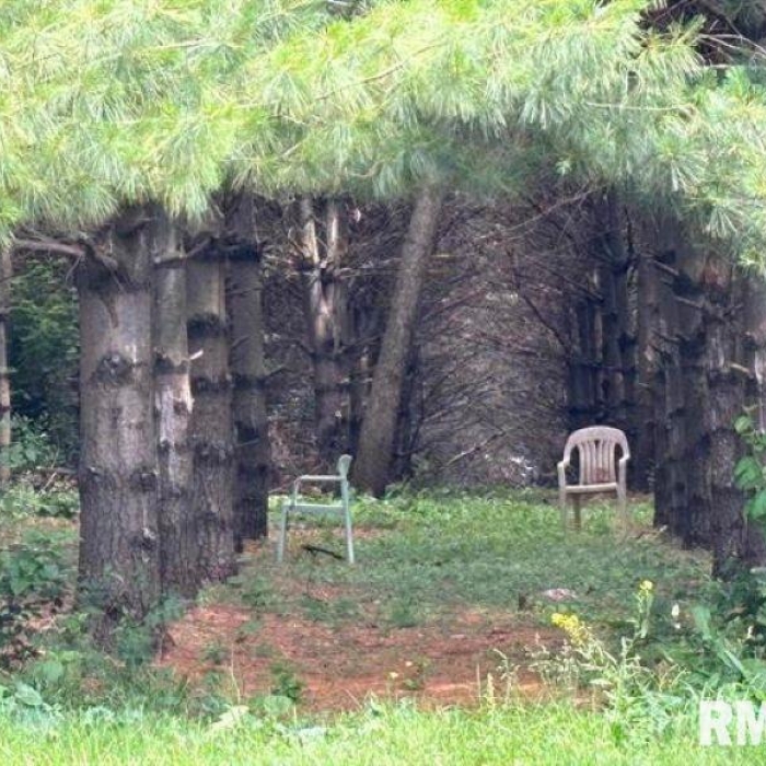 photo of property QC4264357