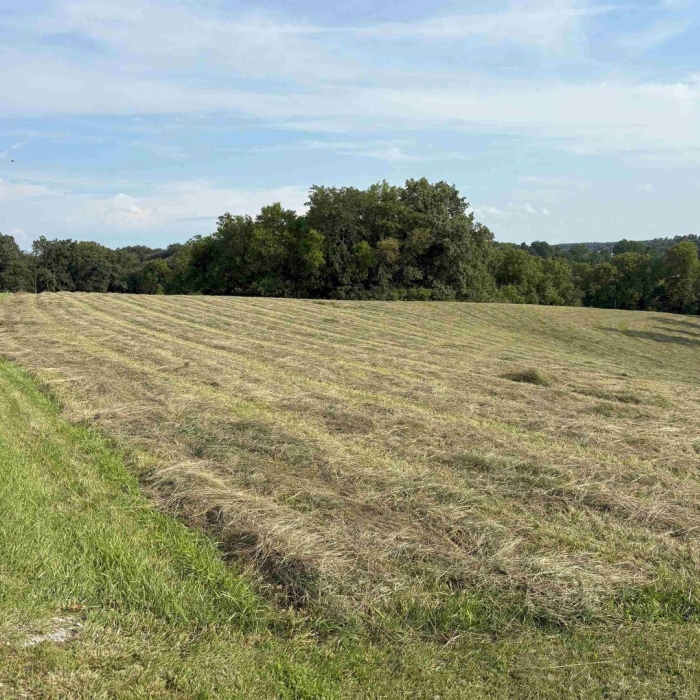 photo of property QC4266092