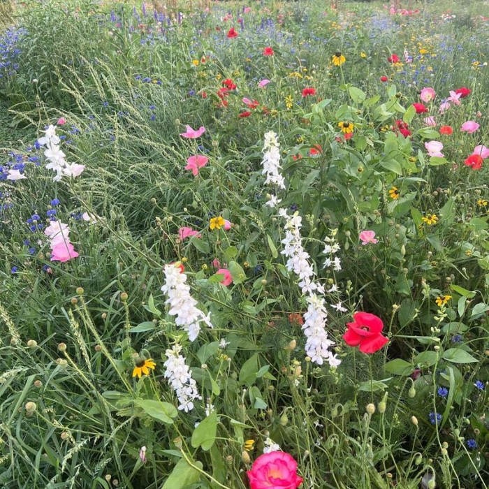 photo of property QC4266417