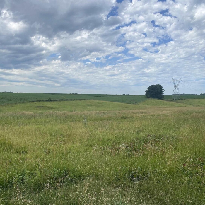 photo of property QC4269655